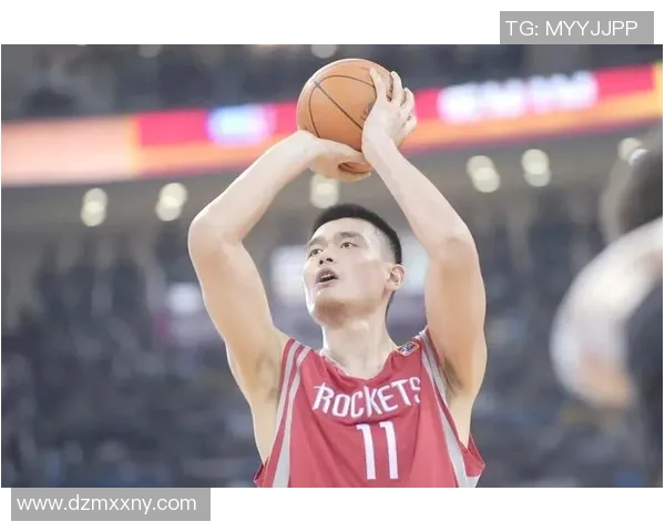 姚明精彩盖帽瞬间引发观众热烈反响全场沸腾的篮球盛宴