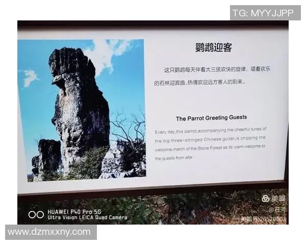 姚明探访石林奇观感受大自然的鬼斧神工与民族文化的深厚底蕴