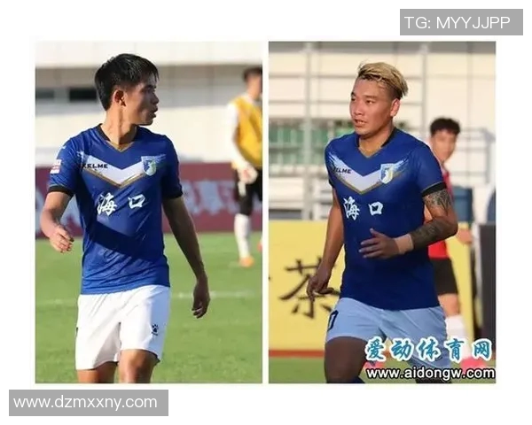 海南足球明星代言费用分析及市场影响探讨